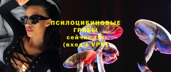 СК Алексин