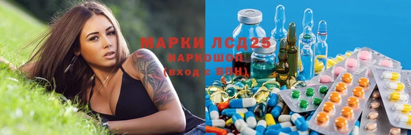 СК Алексин