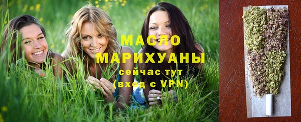 СК Алексин
