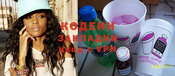 шишки Абаза
