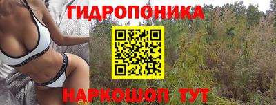 индика Краснодар