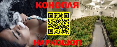 индика Краснодар
