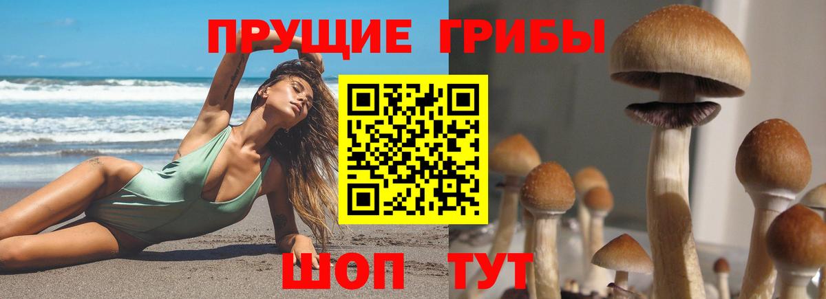 Галлюциногенные грибы мицелий  Галлюциногенные грибы мицелий  Тулун  Вход с VPN 